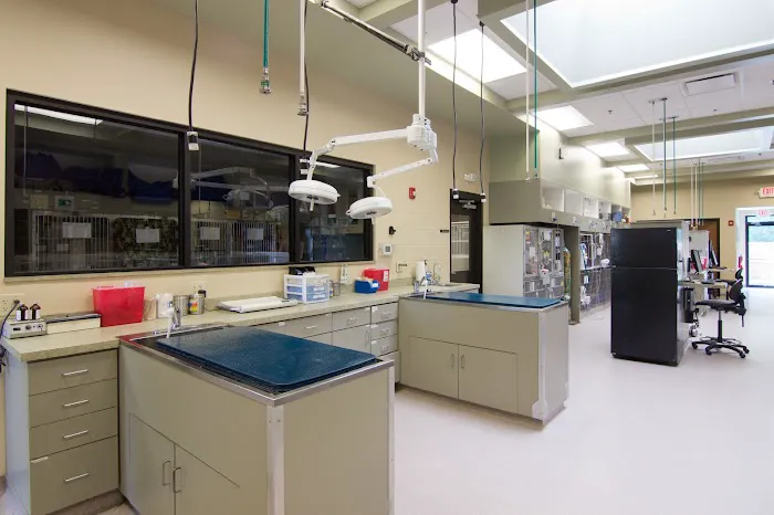 South Carolina Veterinary Specialists & Emergency Care Picture 7