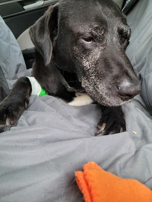 South Carolina Veterinary Specialists & Emergency Care Picture 9