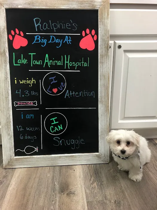 Lake Town Animal Hospital Picture 3