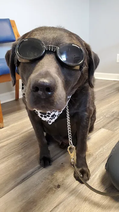 Lake Town Animal Hospital Picture 6