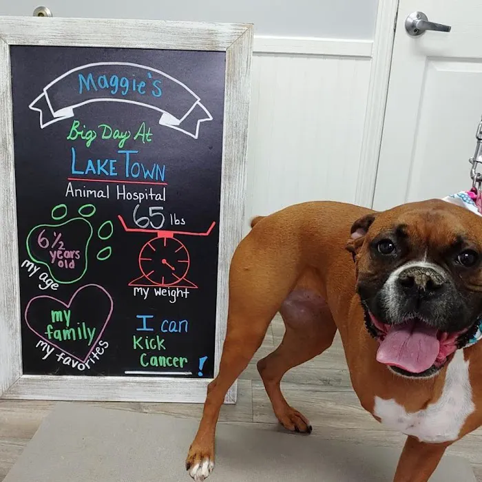 Lake Town Animal Hospital Picture 8