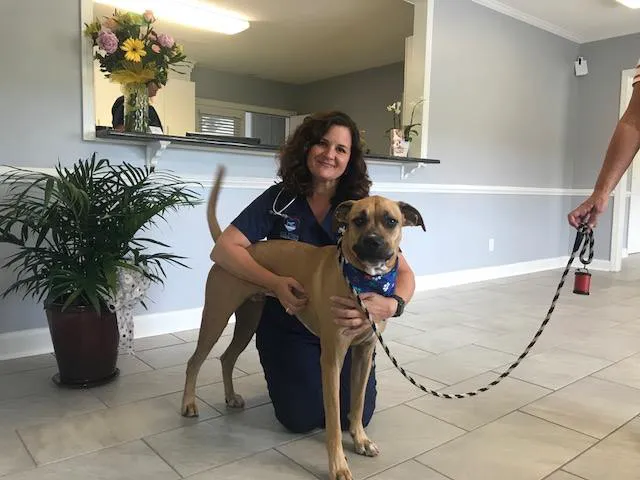 Lake Town Animal Hospital Picture 9