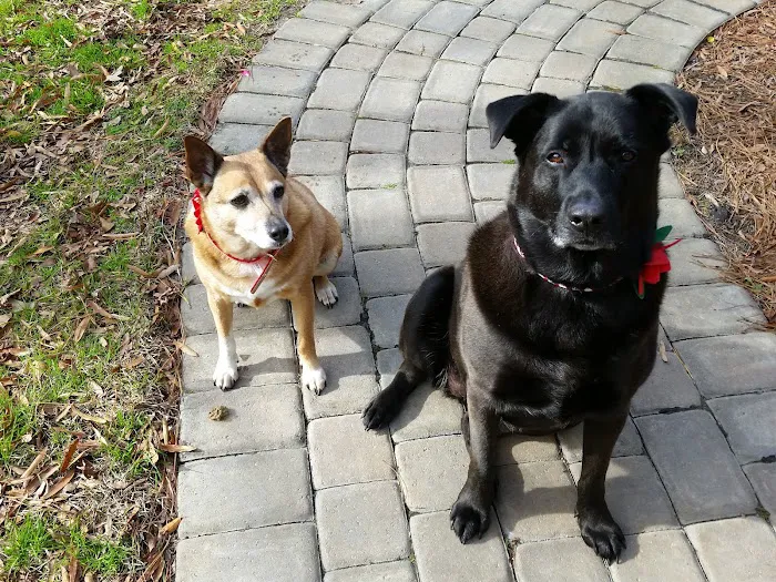 Banks Animal Hospital Picture 6