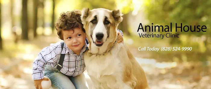 Animal House Veterinary Clinic Picture 2