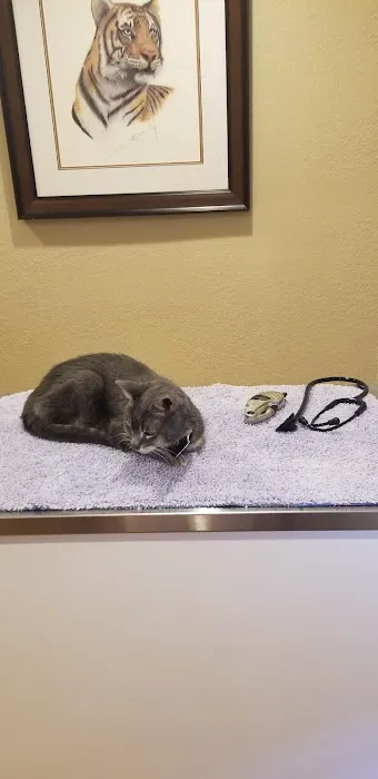 Animal House Veterinary Clinic Picture 10