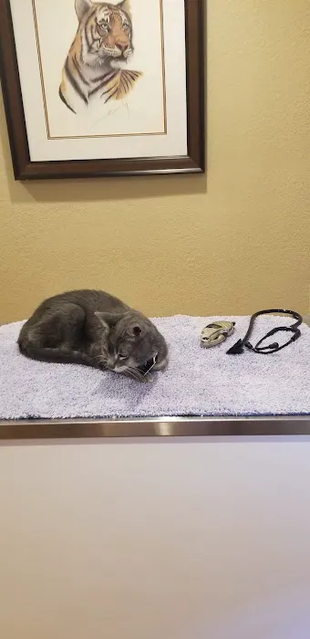 Franklin Veterinary Hospital, PA Picture 7