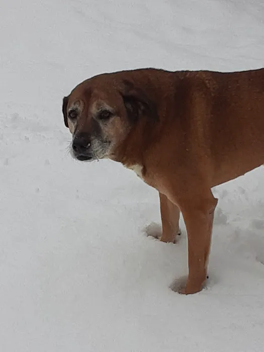Noah's Ark Companion Animal Hospital Picture 2