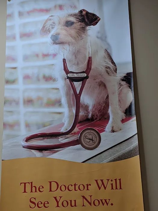 Noah's Ark Companion Animal: Todd Thomas DVM Picture 3