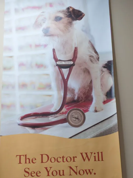 Noah's Ark Companion Animal: Todd Thomas DVM Picture 4