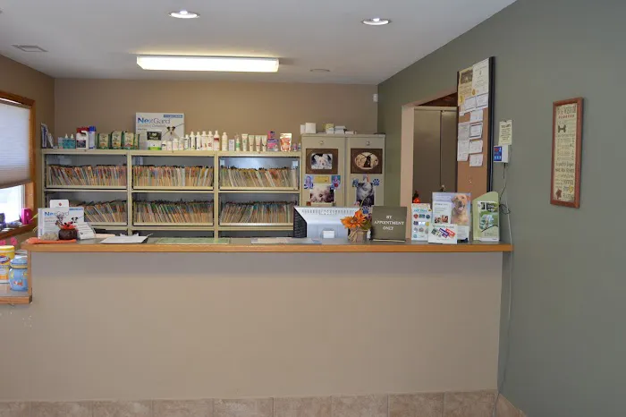 Cope Creek Animal Hospital Picture 6