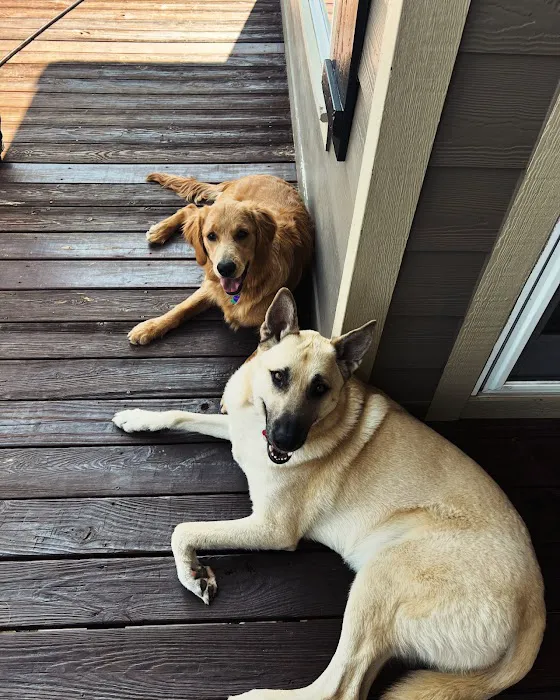 Sylva Animal Hospital Picture 8