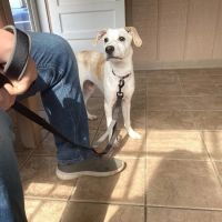 Jackson County Veterinary Hospital ico