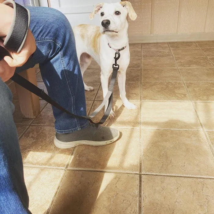 Jackson County Veterinary Hospital Picture 10