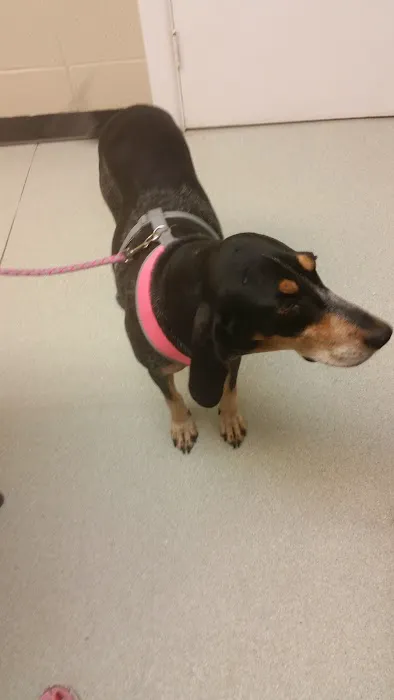 Wallace Animal Hospital Picture 6