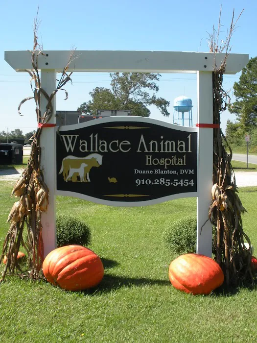 Wallace Animal Hospital Picture 5