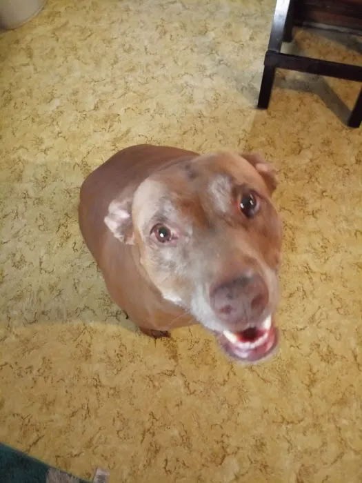 Wallace Animal Hospital Picture 10