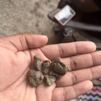 The Winky Washers LLC ico