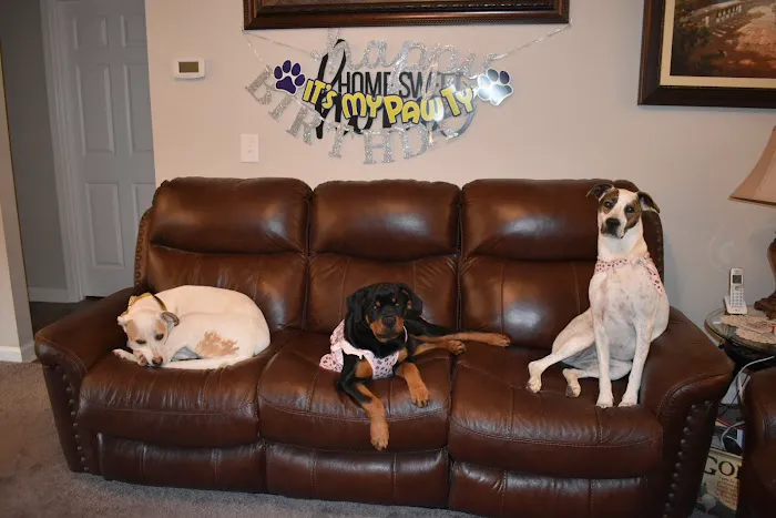 Tram Road Animal Hospital Picture 6