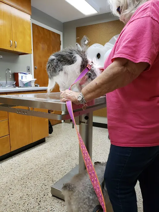 Caring Hands Animal Hospital Picture 9