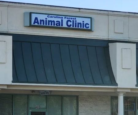 Carolina Forest Animal Clinic