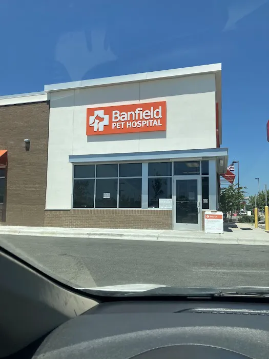 Banfield Pet Hospital Picture 10