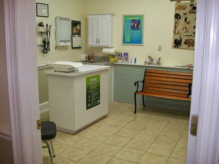 Coastal Cat Clinic Picture 5