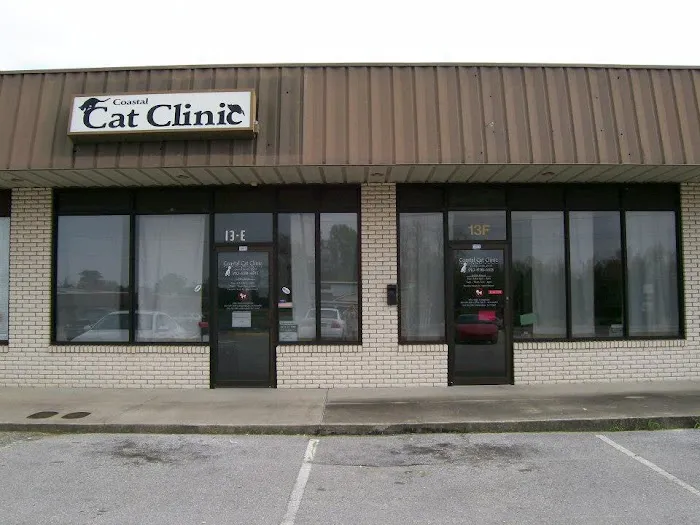 Coastal Cat Clinic Picture 10