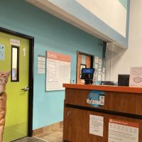 Banfield Pet Hospital ico