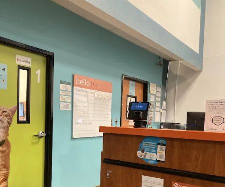 Banfield Pet Hospital