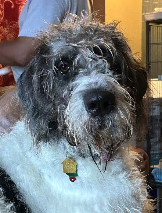 Banfield Pet Hospital Picture 6