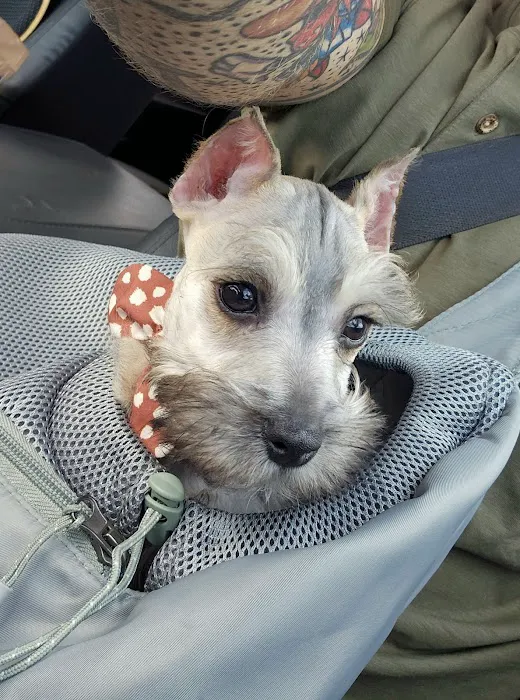Banfield Pet Hospital Picture 5