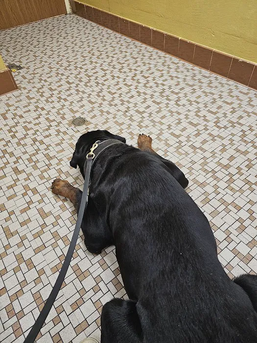 Jacksonville Veterinary Hospital Picture 10