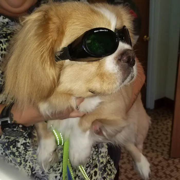 Jacksonville Veterinary Hospital Picture 7