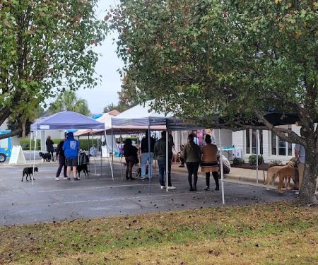 Shoreline Veterinary Hospital