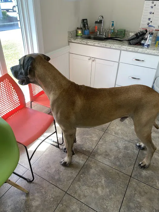 Shoreline Veterinary Hospital Picture 7