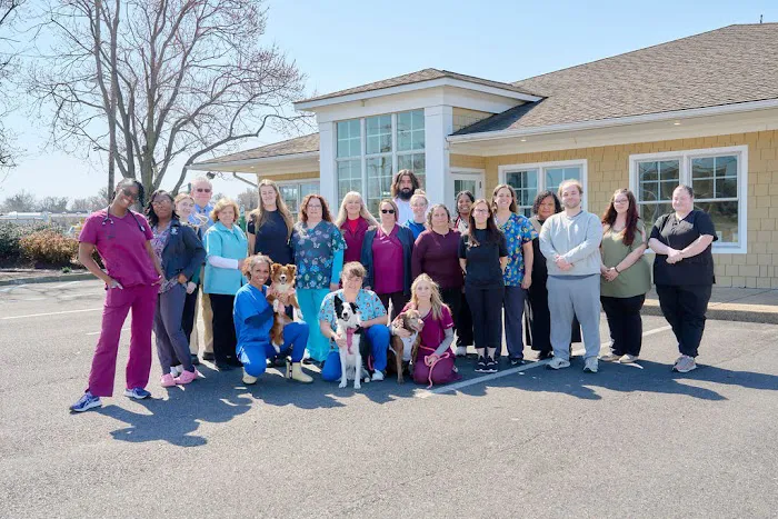 Armistead Avenue Veterinary Hospital Picture 3