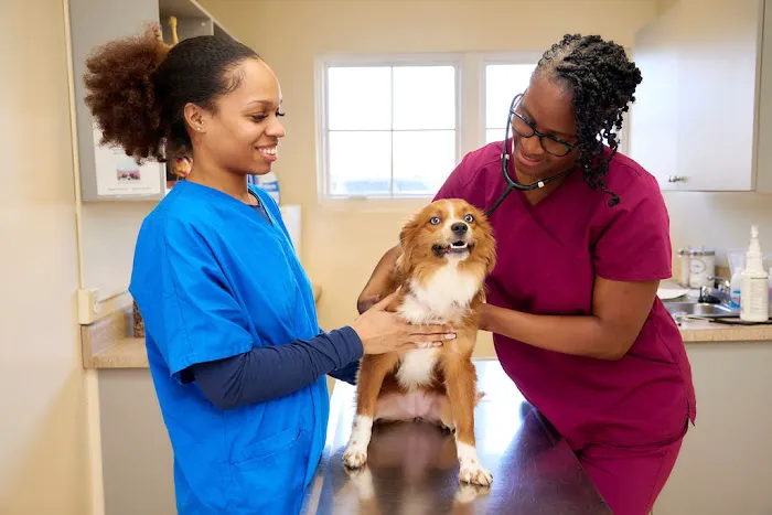 Armistead Avenue Veterinary Hospital Picture 6