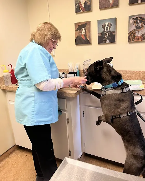 Armistead Avenue Veterinary Hospital Picture 5
