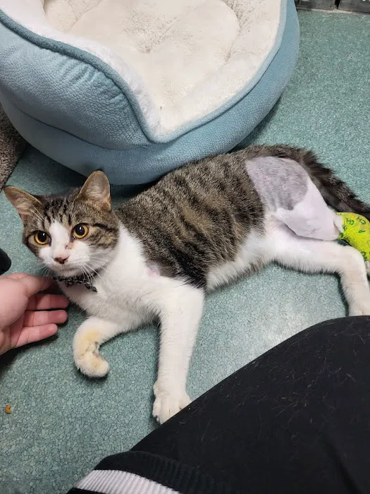 Freed Veterinary Hospital Picture 1