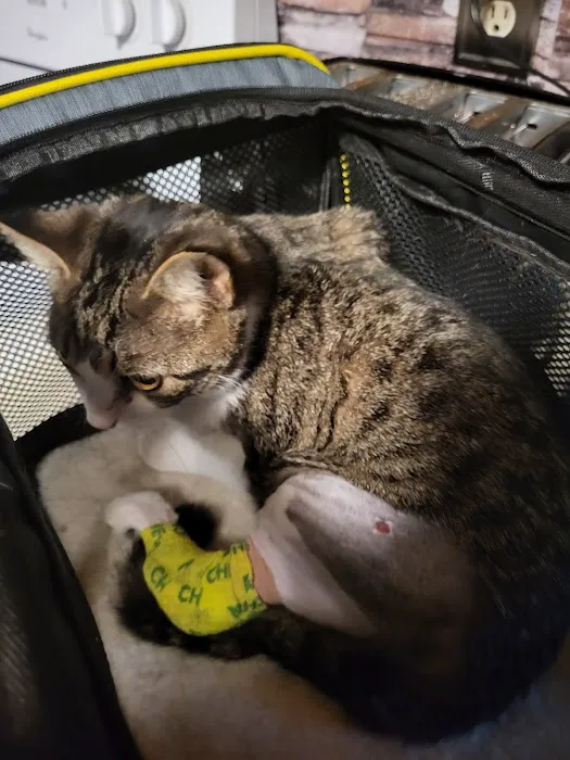 Freed Veterinary Hospital Picture 3
