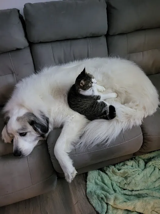 Freed Veterinary Hospital Picture 4