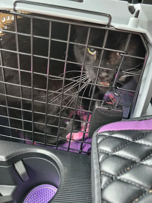 Freed Veterinary Hospital Picture 7