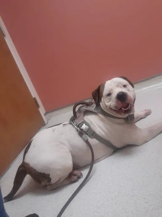 Magruder Tabb Animal Clinic Picture 5