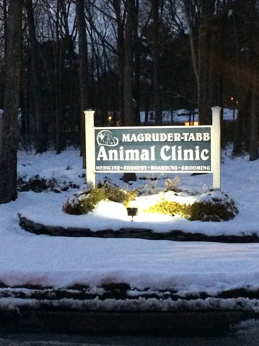 Magruder Tabb Animal Clinic Picture 10