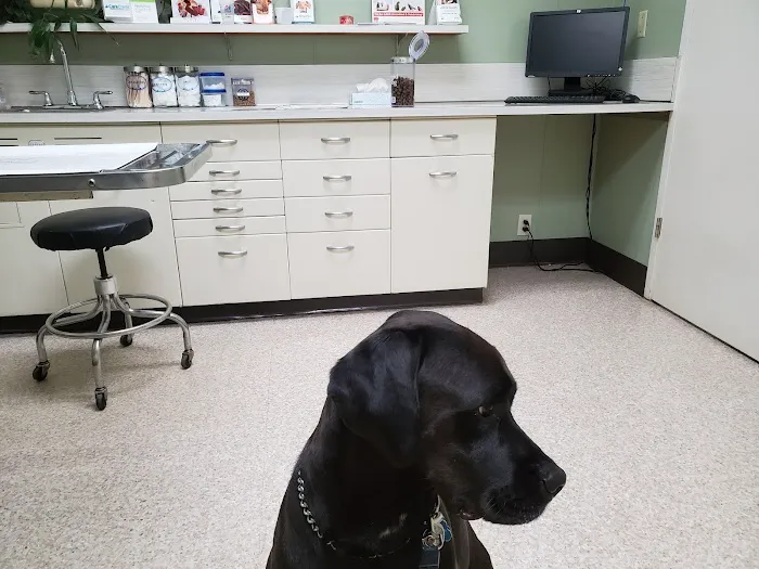 Tennessee Avenue Animal Hospital Picture 8