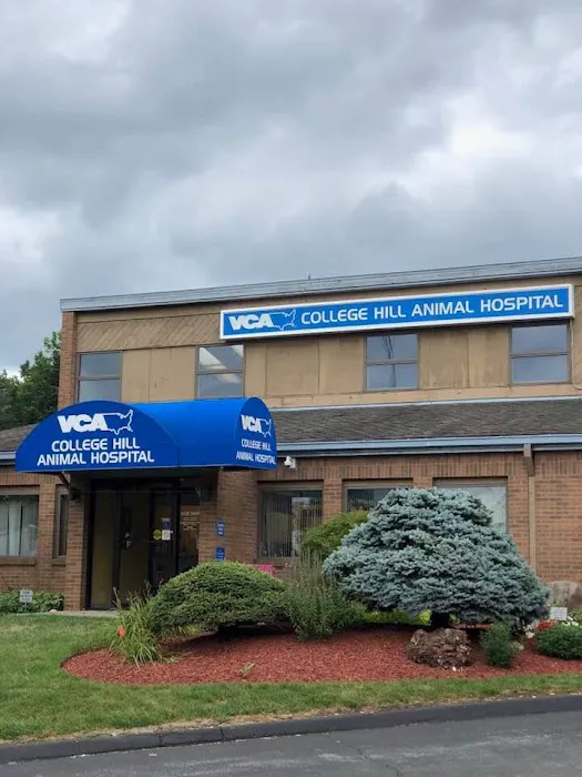 VCA College Hill Animal Hospital Picture 2