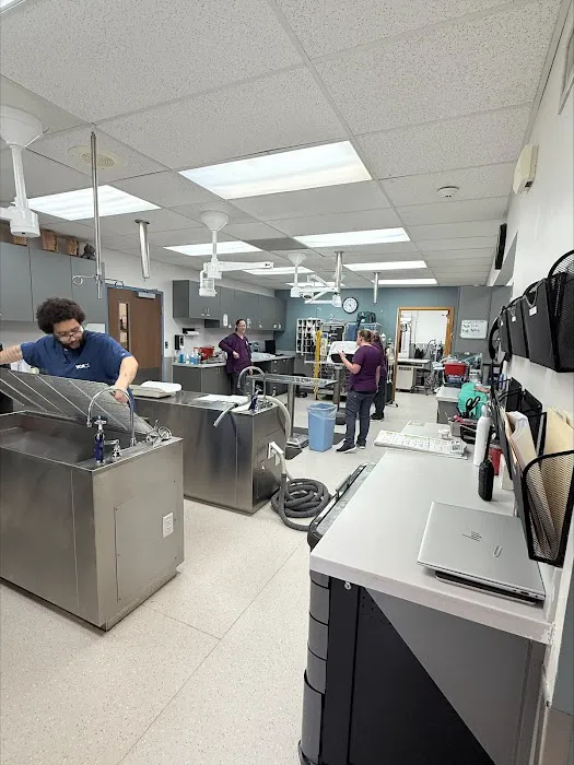 VCA College Hill Animal Hospital Picture 9