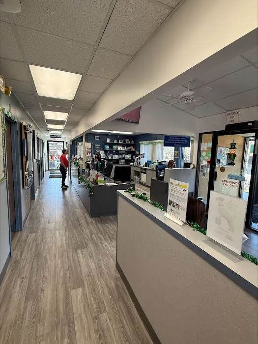 VCA College Hill Animal Hospital Picture 7