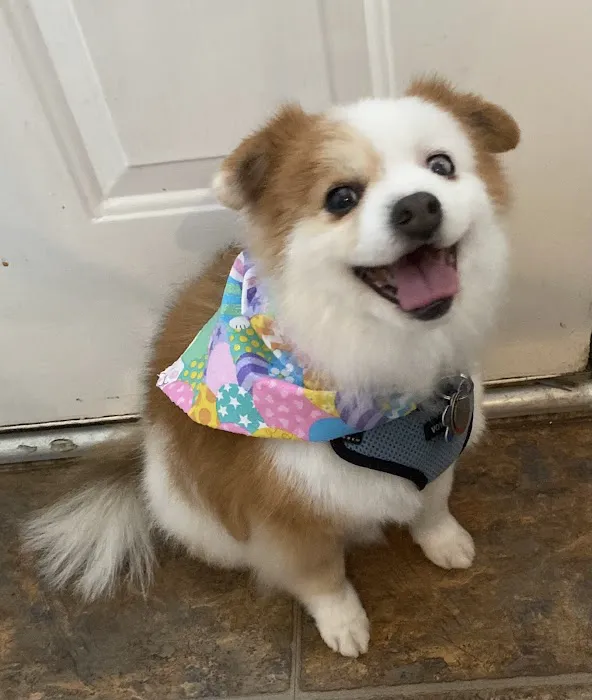 Grady Veterinary Hospital Picture 1
