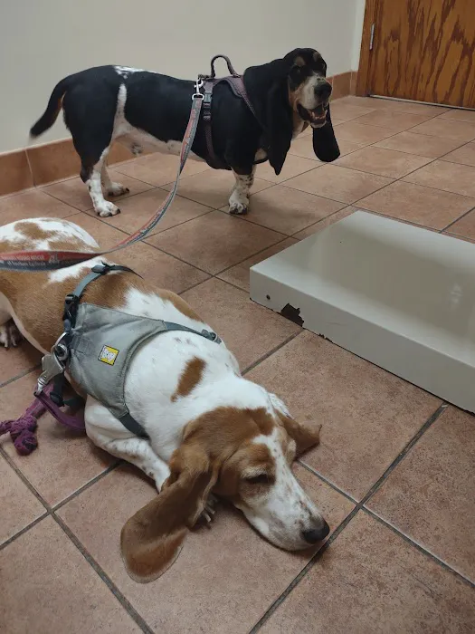 Grady Veterinary Hospital Picture 7